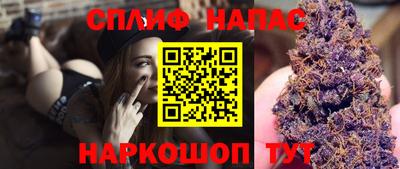 бошки Кингисепп