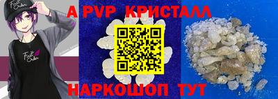 бошки Кингисепп