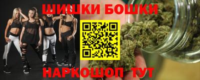 бошки Кингисепп