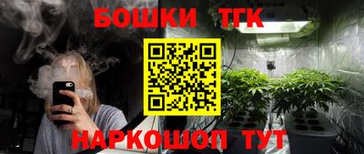 бошки Кингисепп