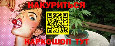 бошки Кингисепп