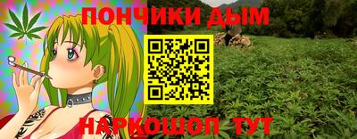 бошки Кингисепп