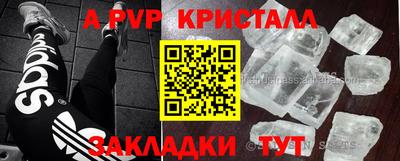 бошки Кингисепп