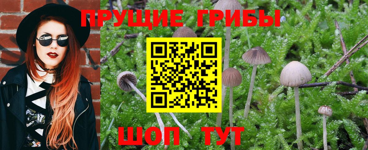 Краснознаменск  Псилоцибиновые грибы Magic Shrooms  Галлюциногенные грибы MAGIC MUSHROOMS  Вход с VPN 