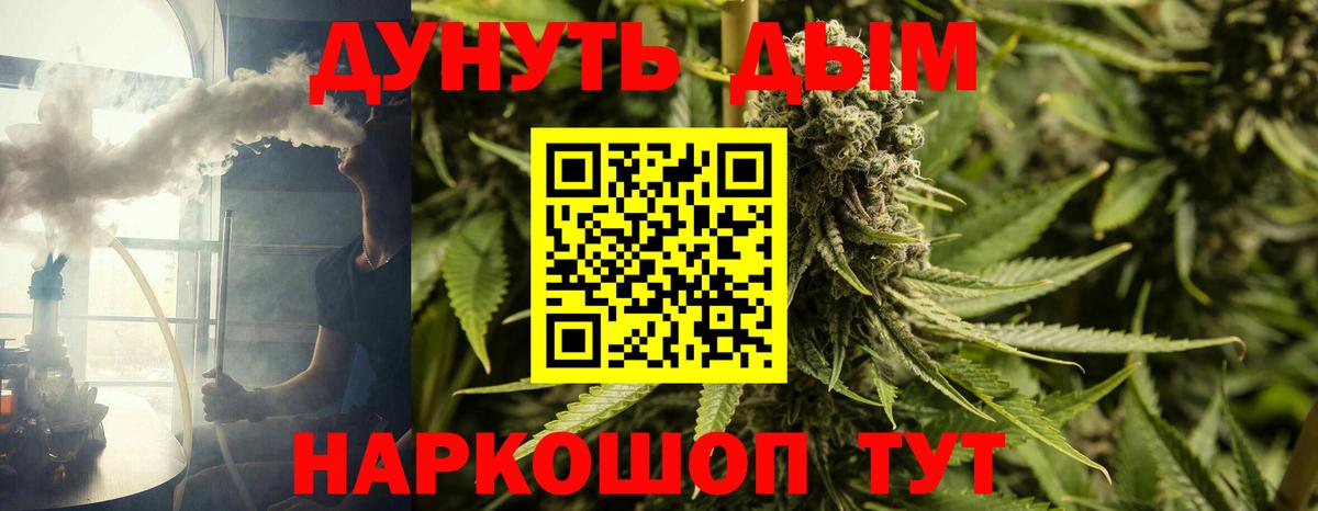 Марихуана план Краснознаменск